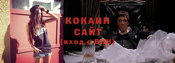 прущие грибы Алексин