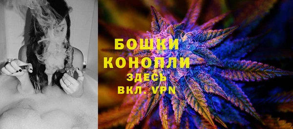 прущие грибы Алексин