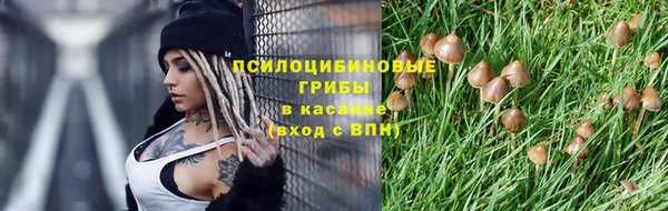 прущие грибы Алексин