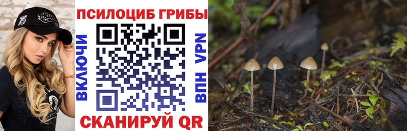 Псилоцибиновые грибы мицелий  где найти наркотики  Асбест 