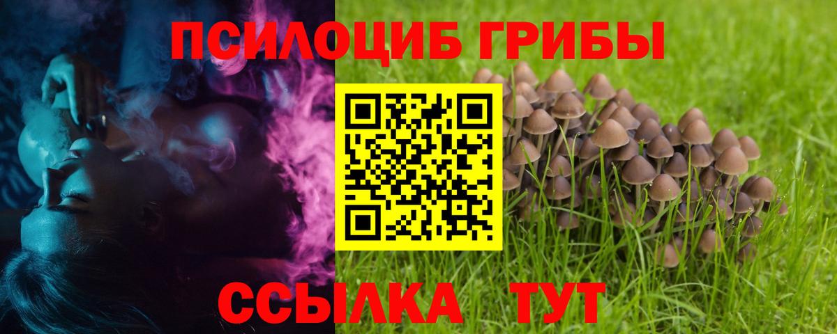 Асбест  Псилоцибиновые грибы мицелий  Вход с VPN  Псилоцибиновые грибы мухоморы 